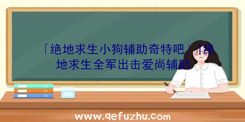 「绝地求生小狗辅助奇特吧」|绝地求生全军出击爱尚辅助